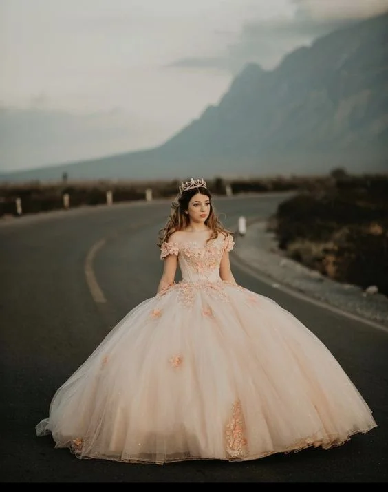 Quick Sale boho-chic dressChic Off The Shoulder Tulle Appliques Ball Gown Princess Dress Sweet 16 Dress Y399 Quick Sale boho-chic dressChic Off The Shoulder Tulle Appliques Ball Gown Princess Dress Sweet 16 Dress Y399