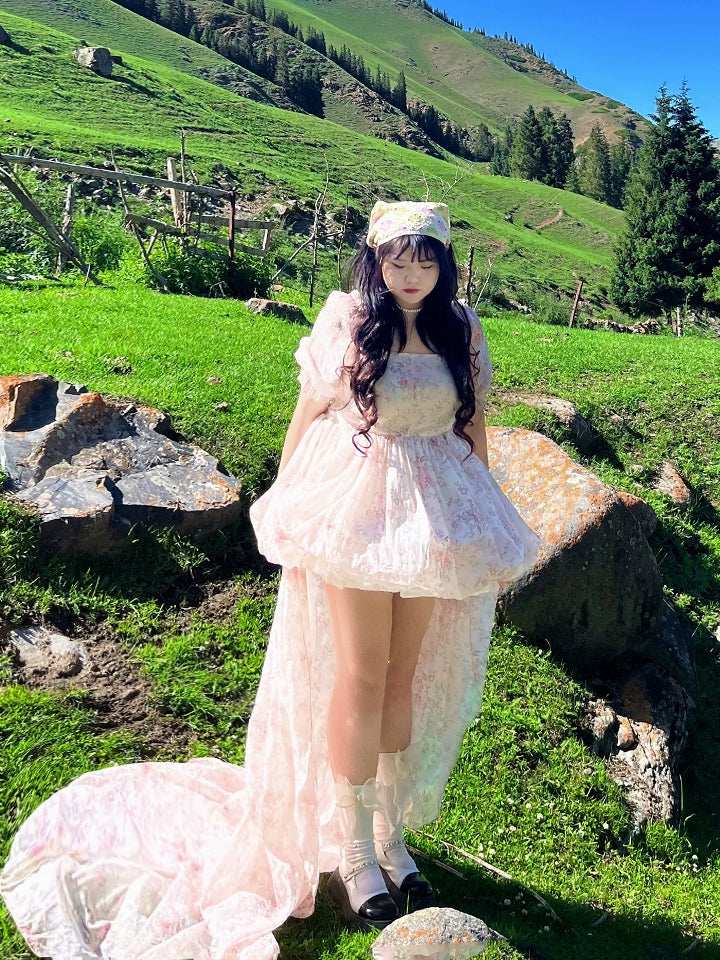 Flash Sale fitted bodycon dressRouroudream~Selkie~Plus Size Sweet Lolita OP Trailing Floral Princess Gown Dress